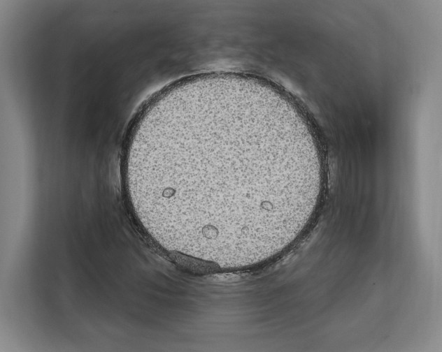 X0000111831214200909031507