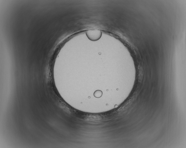 X0000111831215200909031507