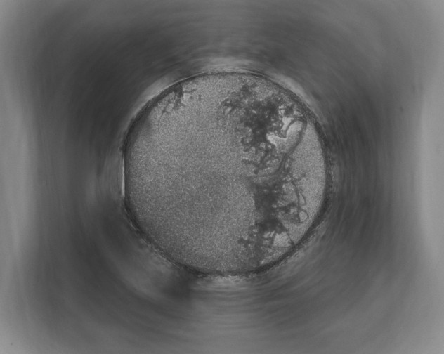 X0000111831219200909031507