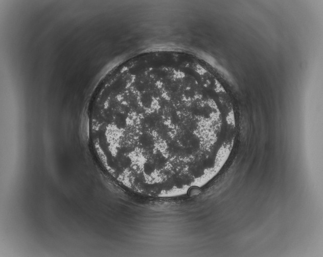 X0000111831221200909031507