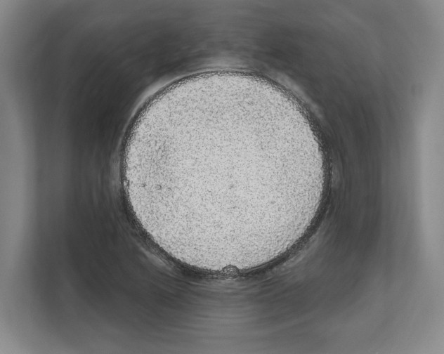 X0000111831222200909031507