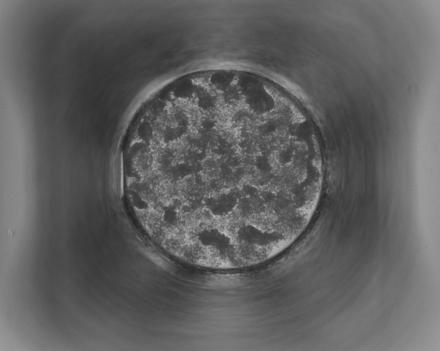 X0000111831223200909031507