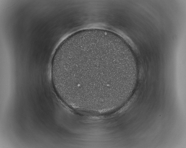 X0000111831224200909031507