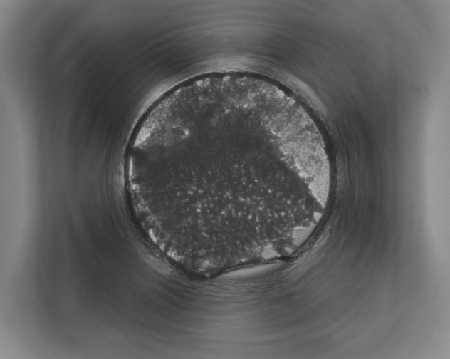 X0000111831226200909031507