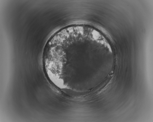 X0000111831229200909031507