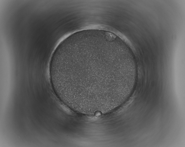 X0000111831230200909031507