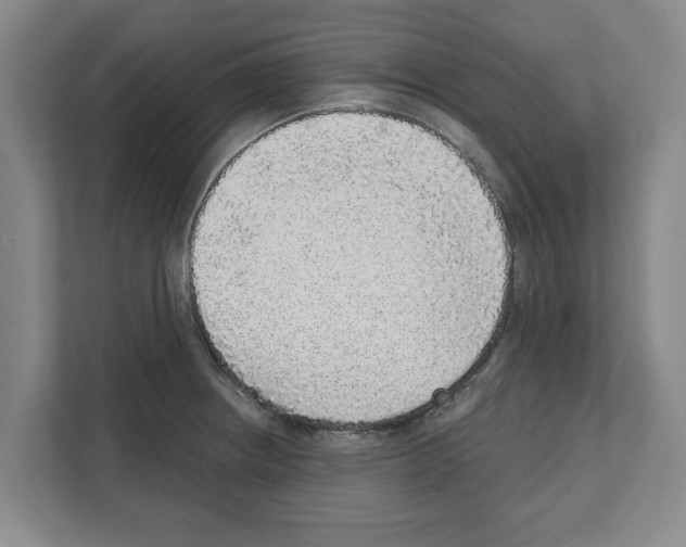 X0000111831234200909031507
