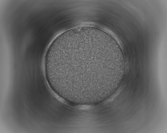 X0000111831235200909031507