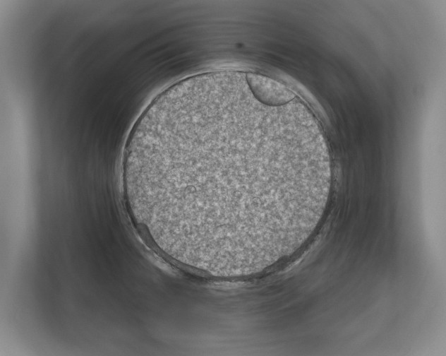 X0000111831236200909031507