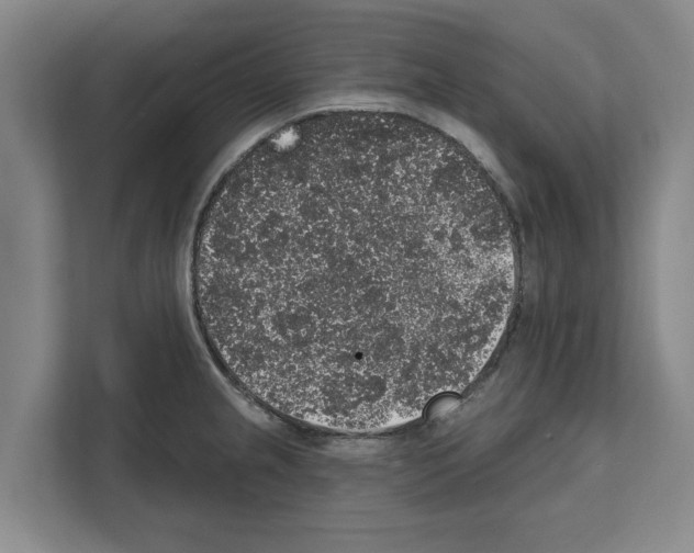 X0000111831237200909031507