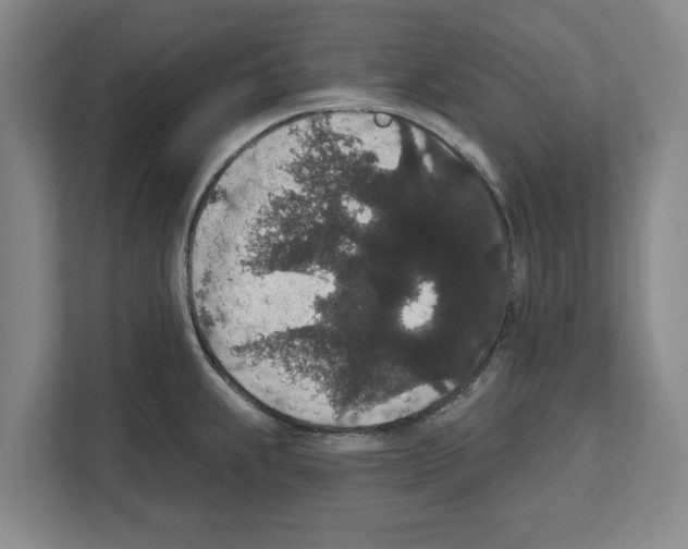 X0000111831239200909031507