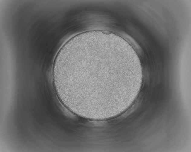 X0000111831244200909031507