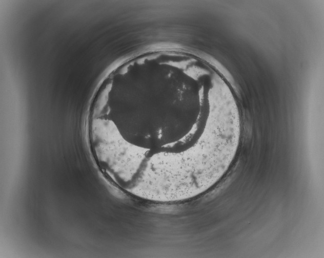 X0000111831245200909031507