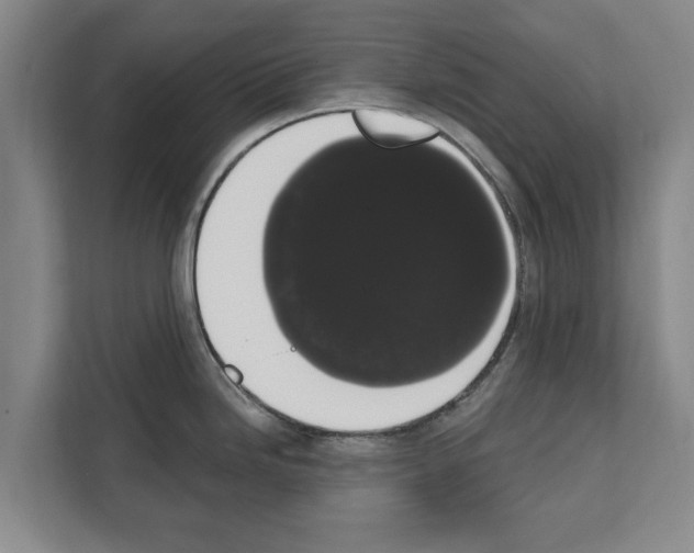 X0000111831246200909031507