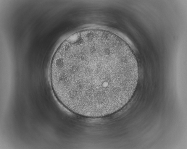 X0000111831247200909031507