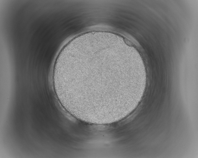 X0000111831248200909031507