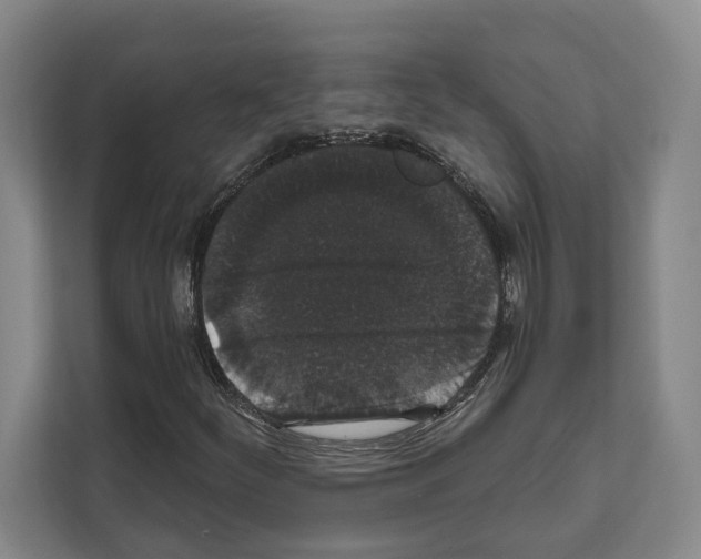 X0000111831252200909031506