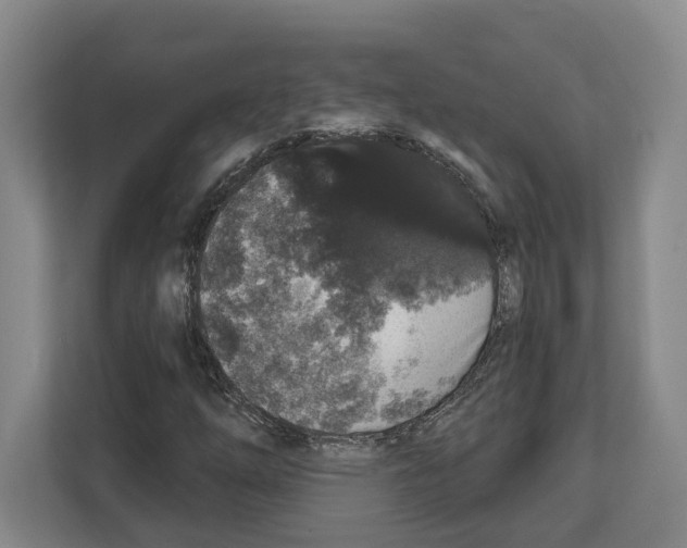 X0000111831254200909031506