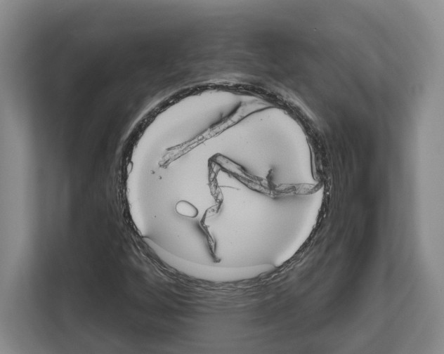 X0000111831256200909031506