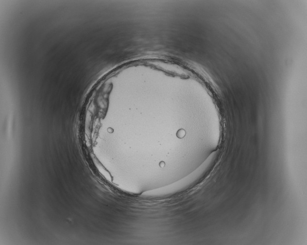 X0000111831260200909031506