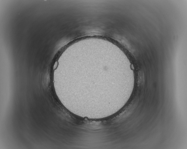 X0000111831261200909031506