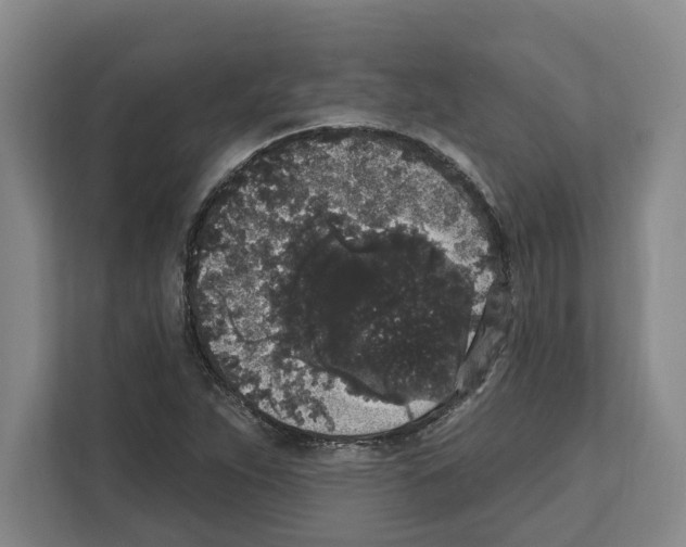 X0000111831263200909031506