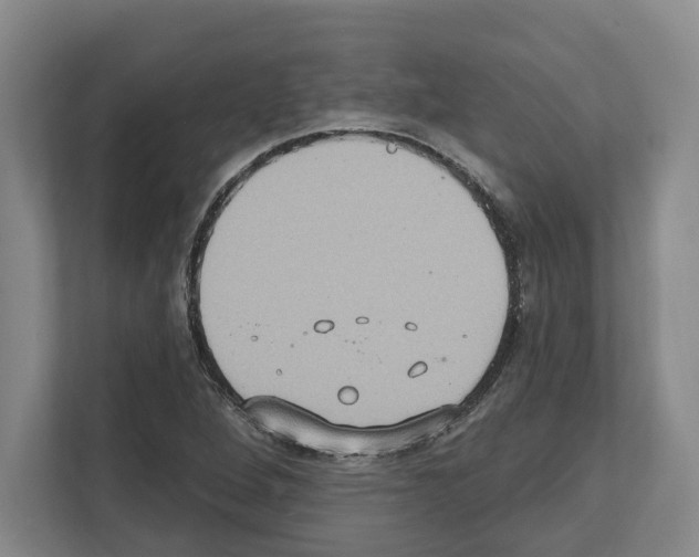 X0000111831264200909031506