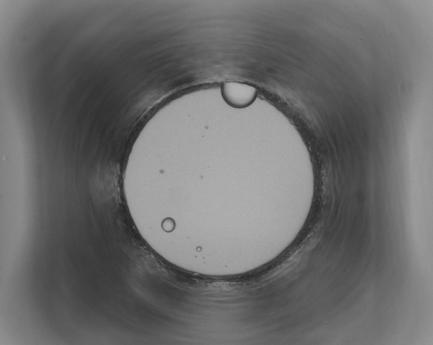 X0000111831265200909031506
