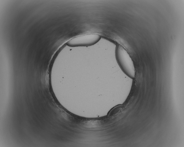 X0000111831268200909031506