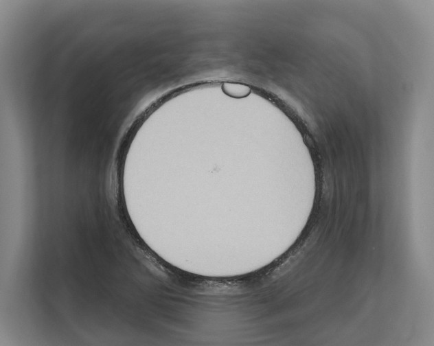 X0000111831270200909031506