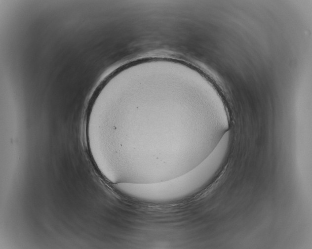 X0000111831272200909031506