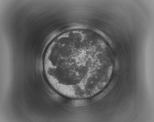 X0000111831274200909031506