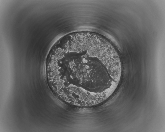 X0000111831275200909031506