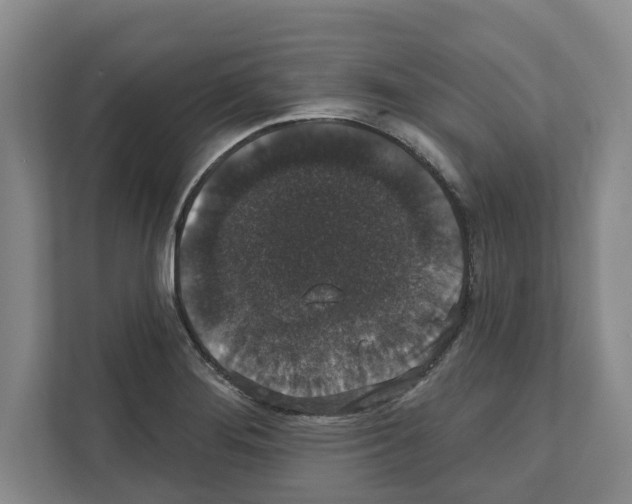X0000111831276200909031506