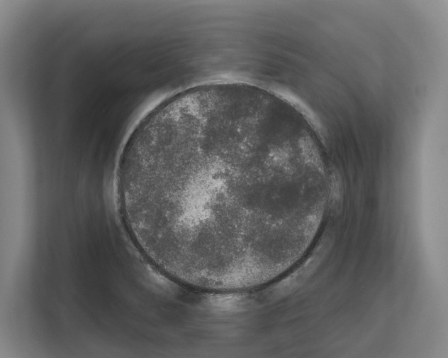 X0000111831278200909031506