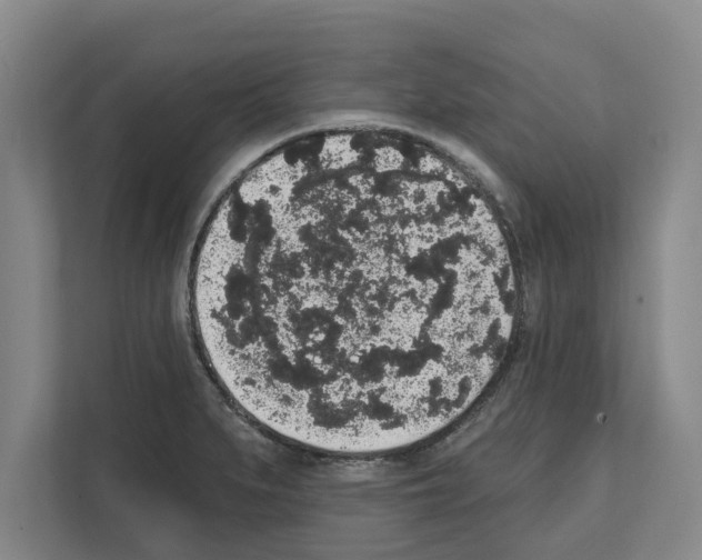 X0000111831279200909031506
