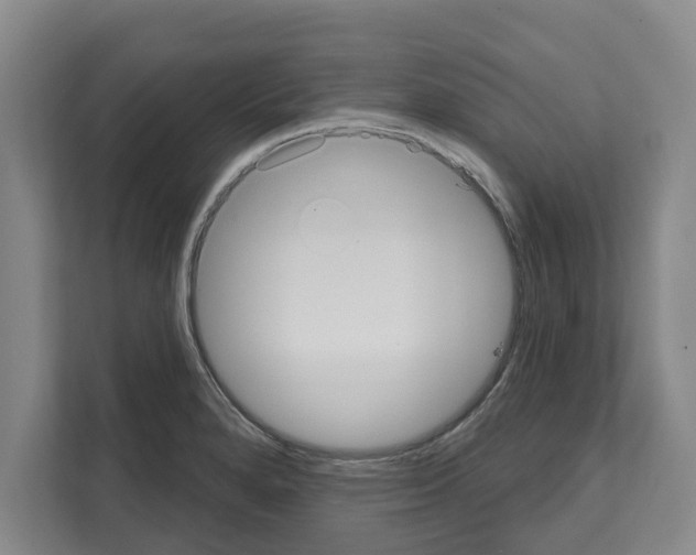 X0000111831280200909031506