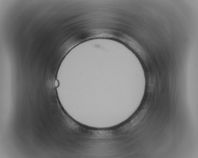 X0000111831281200909031506