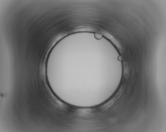 X0000111831282200909031506
