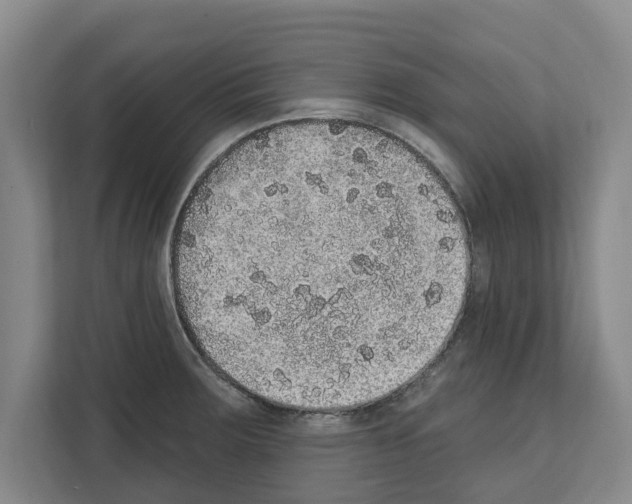 X0000111831283200909031506
