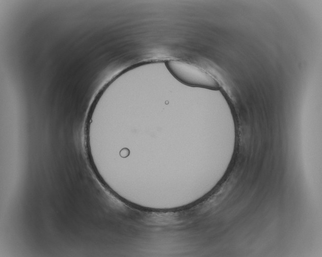 X0000111831285200909031506