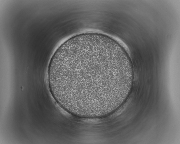 X0000111831287200909031506