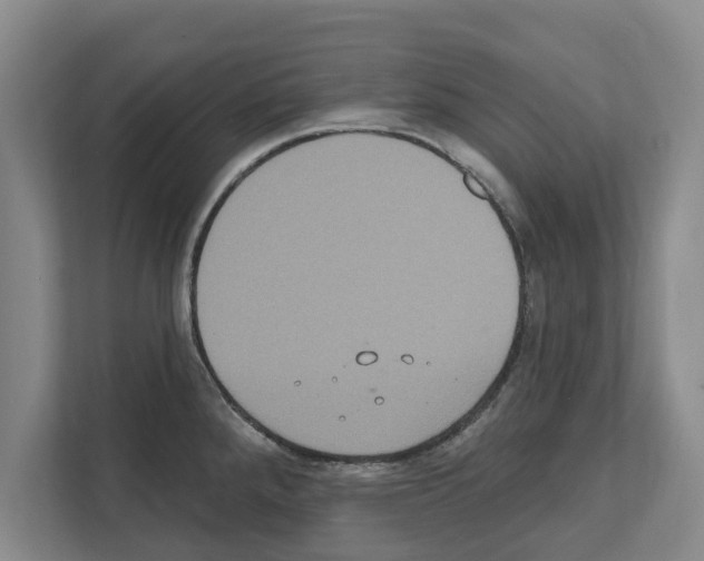 X0000111831288200909031506