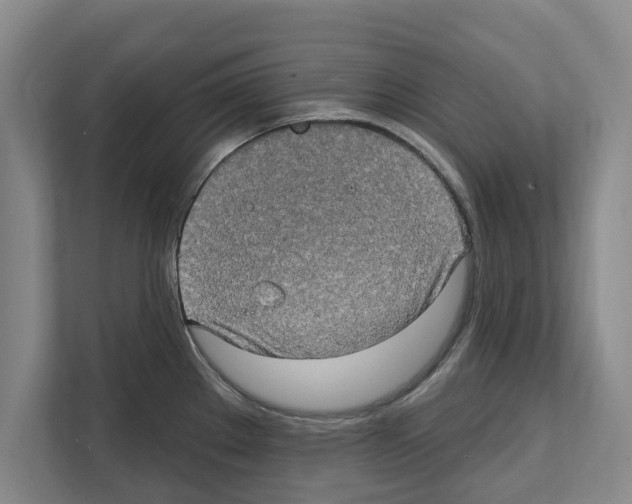 X0000111831289200909031506