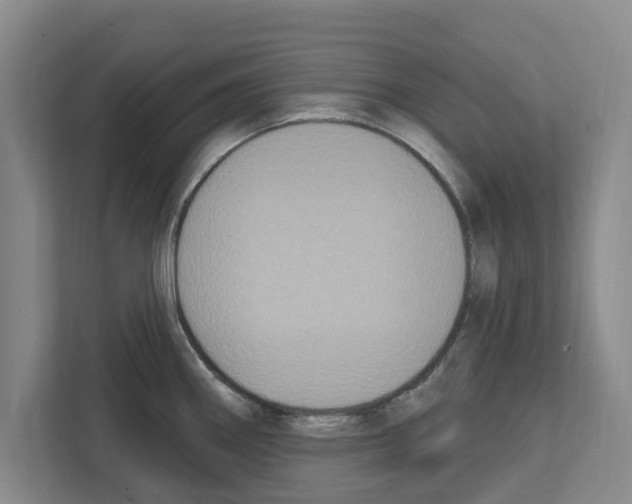 X0000111831290200909031506