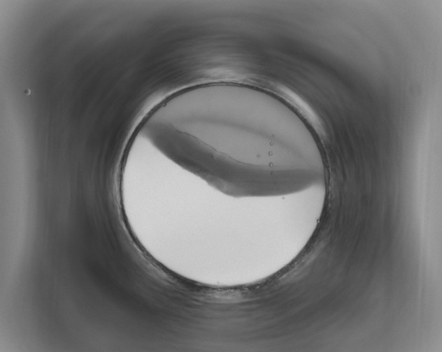 X0000111831291200909031506