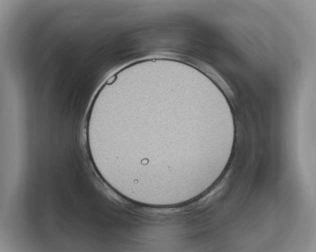 X0000111831292200909031506