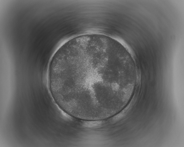 X0000111831294200909031506
