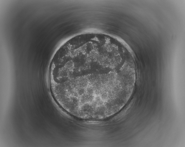 X0000111831295200909031506