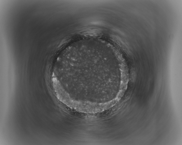 X0000111831297200909031505